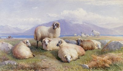 En el corazón de las Tierras Altas de Henry Brittan Willis