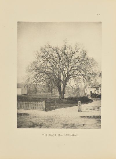 El Olmo Clark, Lexington de Henry Brooks