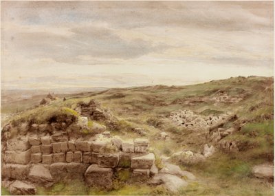 Housesteads de Henry Burdon Richardson