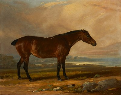Estudio de un cazador de bahía en un paisaje de Henry Calvert