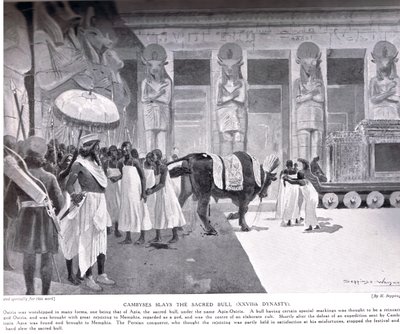 Cambises mata al Toro Sagrado, ilustración de 