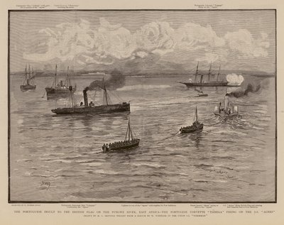 La corbeta portuguesa Tamega dispara contra el SS Agnes, río Pungwe, África Oriental (grabado) de Henry Charles Seppings Wright