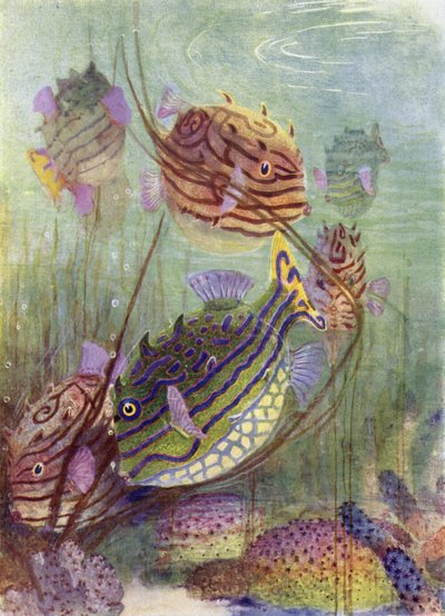 El Pez Cofre de los Mares de Coral de Henry Charles Seppings Wright