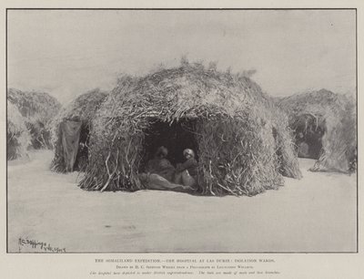 La expedición de Somalilandia, el hospital en Las Durie, salas de aislamiento de Henry Charles Seppings Wright
