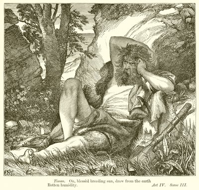 Timon de Atenas de Henry Courtney Selous
