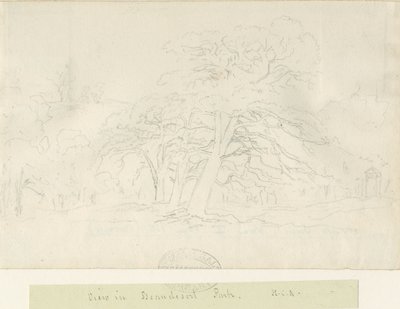 Parque Beaudesert: dibujo a lápiz, nd [1788-1855] de Henry Curzon Allport