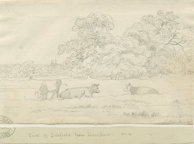 Lichfield - Vista desde Aldershaw de Henry Curzon Allport