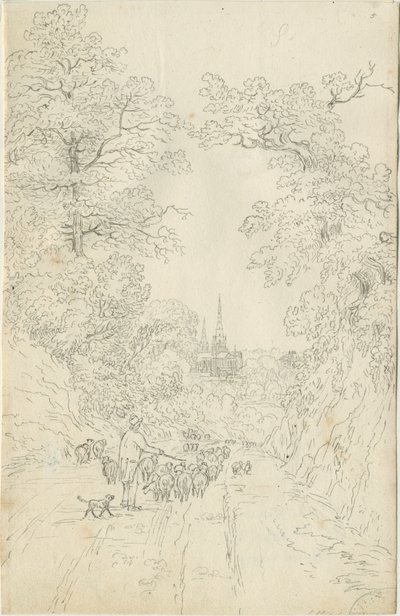 Catedral de Lichfield - Vista Sureste de Henry Curzon Allport