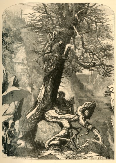 Sobre el Puente Natural de Henry Duff Linton
