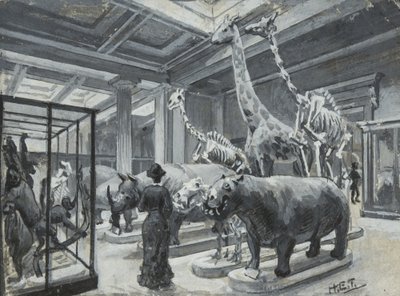 Vista interior del Museo Británico mostrando la galería con exhibiciones de animales, c.1880 de Henry Edward Tidmarsh