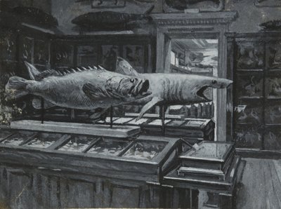 Vista interior del Museo Británico mostrando la galería de exhibiciones de peces, c.1880 de Henry Edward Tidmarsh