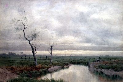 Pantanos costeros de Henry Farrer