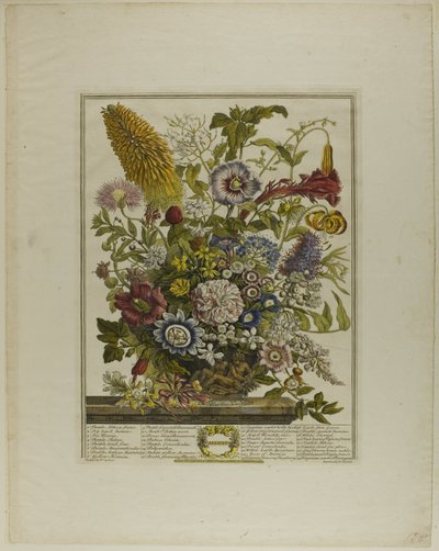 Agosto, de Doce Meses de Flores de Henry Fletcher