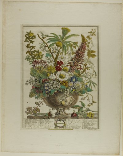 Diciembre, de Los Doce Meses de Flores de Henry Fletcher