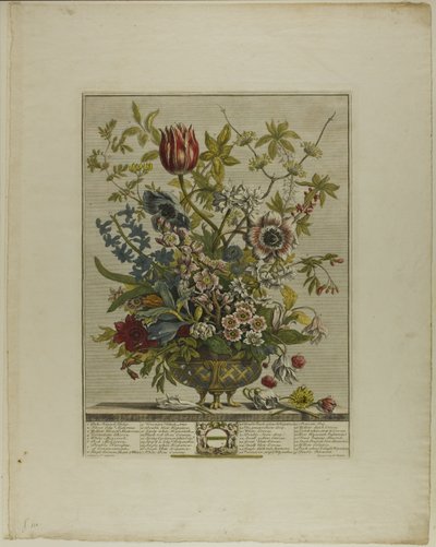 Febrero, de Los doce meses de flores de Henry Fletcher