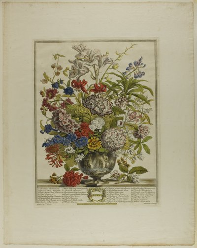 Julio, de Doce meses de flores de Henry Fletcher