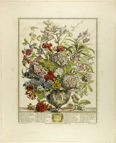 Julio, de Doce meses de flores de Henry Fletcher