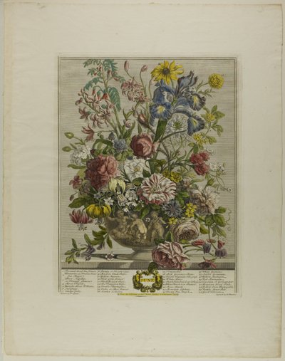 Junio, de los Doce Meses de Flores de Henry Fletcher