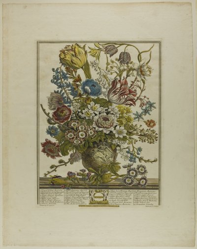Marzo, de Doce Meses de Flores de Henry Fletcher