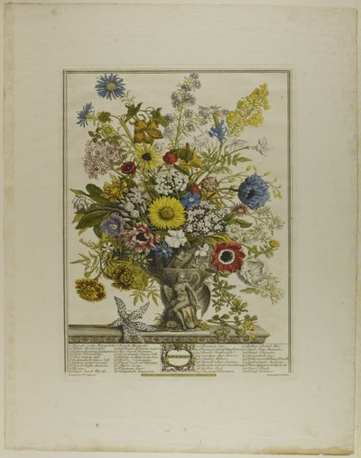 Noviembre, de Doce Meses de Flores de Henry Fletcher