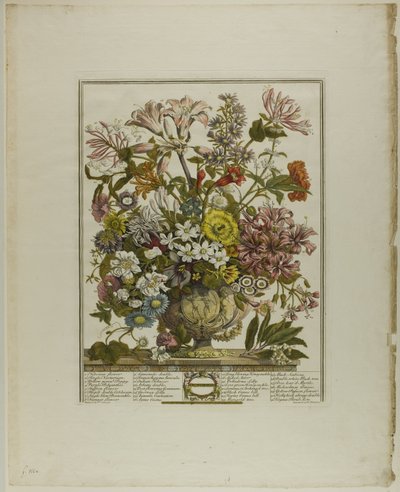 Octubre, de Los doce meses de flores de Henry Fletcher