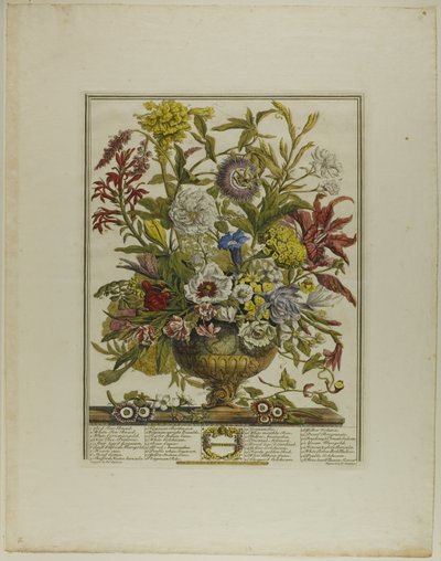 Septiembre, de los Doce meses de flores de Henry Fletcher