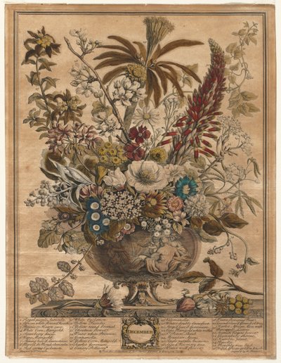 Doce meses de flores: diciembre de Henry Fletcher