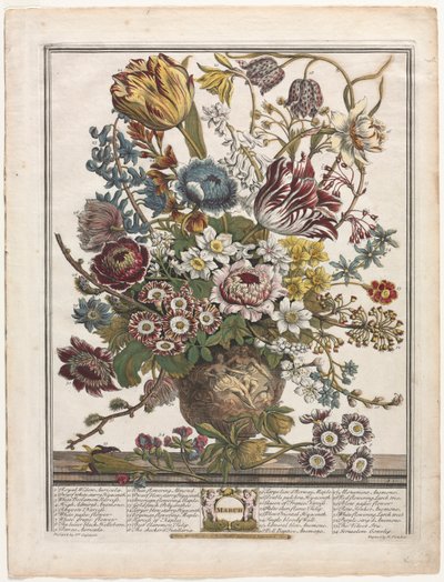 Doce meses de flores: Marzo de Henry Fletcher