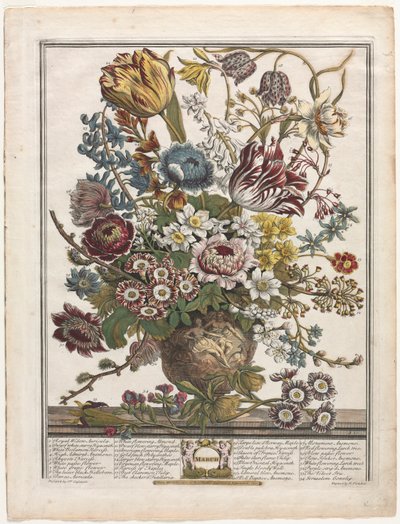 Doce Meses de Flores: Marzo, 1730 de Henry Fletcher