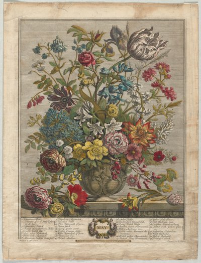 Doce Meses de Flores: Mayo, 1730 de Henry Fletcher