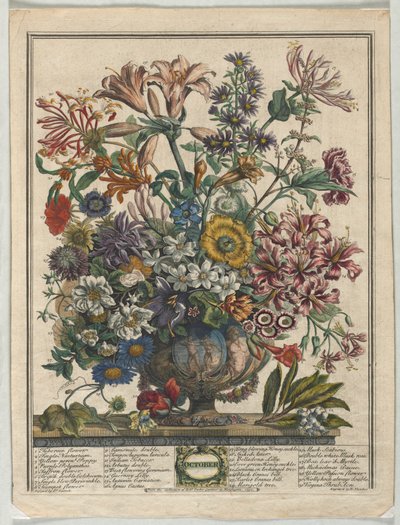 Doce meses de flores:  Octubre de Henry Fletcher