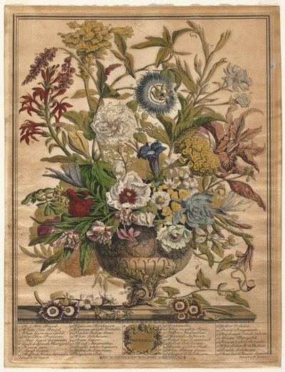 Doce meses de flores: Septiembre de Henry Fletcher