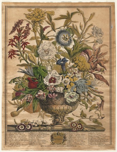 Doce meses de flores: septiembre, 1730 de Henry Fletcher