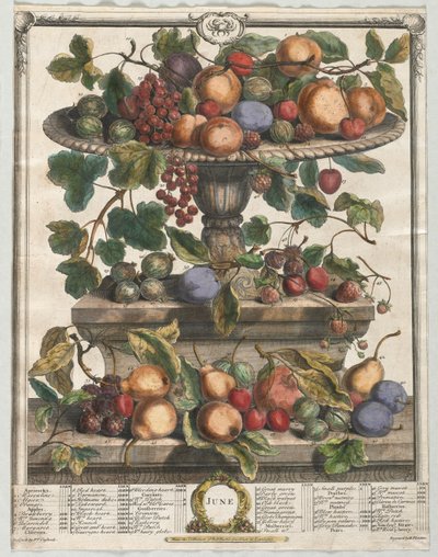 Doce Meses de Fruta: Junio, 1732 de Henry Fletcher