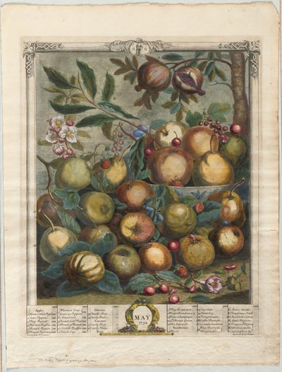 Doce meses de fruta:  Mayo de Henry Fletcher