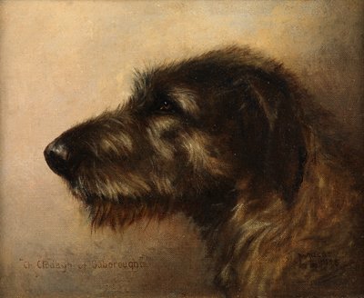 Campeón Clodagh de Ouborough, un lebrel irlandés de Henry Frederick Lucas Lucas