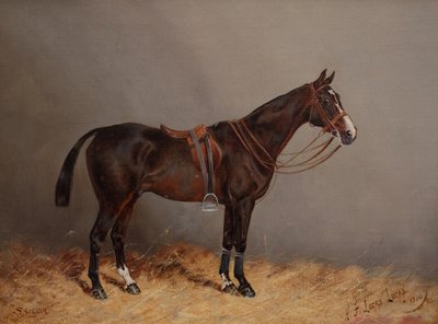 Marinero de Henry Frederick Lucas Lucas