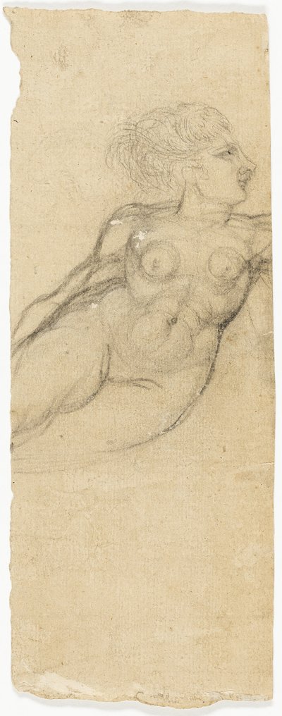 Estudios de desnudos de Henry Fuseli