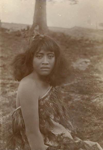 Estudio maorí, c.1910 (gelatina de plata) de Henry Gaze