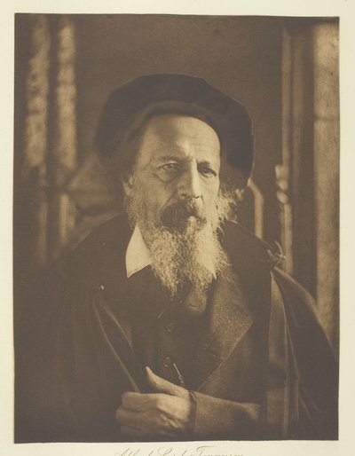 Alfred, Lord Tennyson de Henry Herschel Hay Cameron