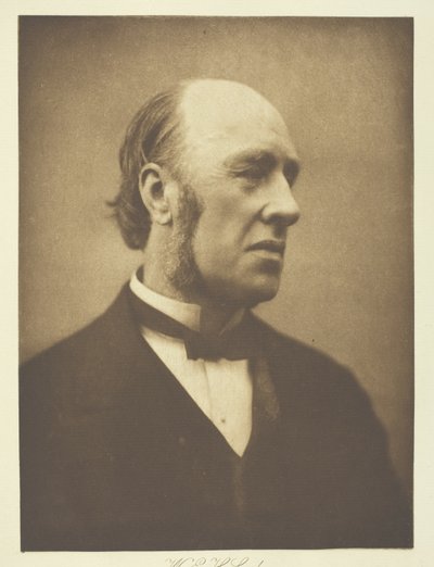 William Edward Hartpole Lecky de Henry Herschel Hay Cameron
