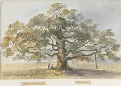 Blithfield - Roble del Mendigo de Henry James Noyes