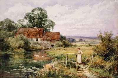 Observando a los patos de Henry John Sylvester Stannard