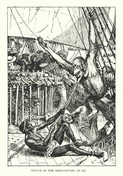 Terror del orangután en Sai (grabado) de Henry Justice Ford