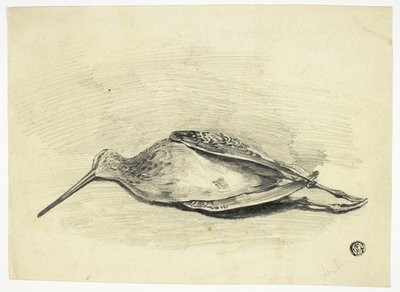 Urogallo muerto de Henry Lejeune