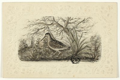 Urogallo de Henry Lejeune
