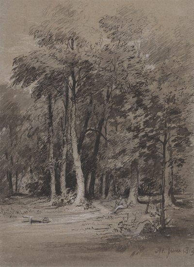 Una pista arbolada de Henry Monro
