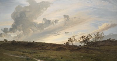 Una noche salvaje después de la lluvia, Yorkshire de Henry Moore
