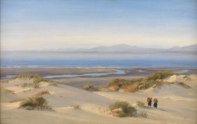 Playa de Harlech de Henry Moore