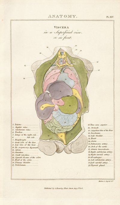  de Henry Mutlow